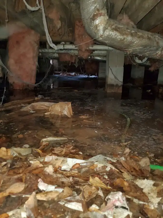 Crawl space flood assessment for Leak Detection & Repair in Racine